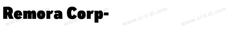Remora Corp字体转换